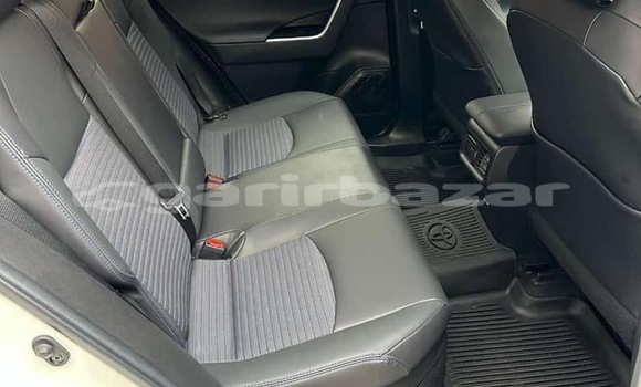 Buy New Toyota RAV4 Blue Car in Yaounde in Central Cameroon Buy New Toyota RAV4 Blue Car in Yaounde in Central Cameroon