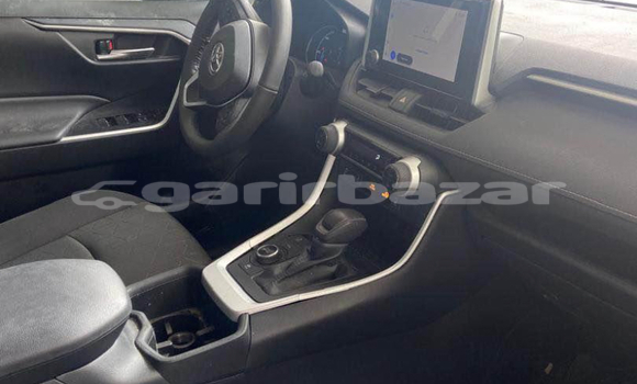 Buy New Toyota RAV4 Blue Car in Yaounde in Central Cameroon Buy New Toyota RAV4 Blue Car in Yaounde in Central Cameroon