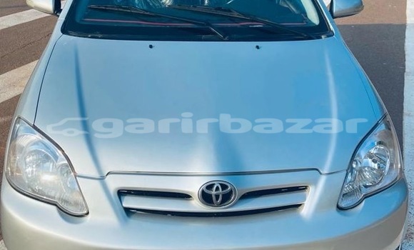 Buy Used Toyota Corolla Silver Car in Yaounde in Central Cameroon