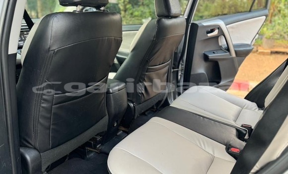 Buy Used Toyota RAV4 Other Car in Yaounde in Central Cameroon Buy Used Toyota RAV4 Other Car in Yaounde in Central Cameroon
