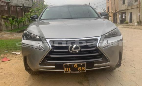 Buy Used Lexus NX Silver Car in Douala in Littoral Cameroon