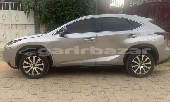Acheter Occasion Voiture Lexus NX Gris à Douala, Littoral Cameroon Acheter Occasion Voiture Lexus NX Gris à Douala, Littoral Cameroon