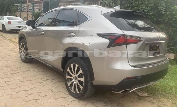 Acheter Occasion Voiture Lexus NX Gris à Douala, Littoral Cameroon Acheter Occasion Voiture Lexus NX Gris à Douala, Littoral Cameroon
