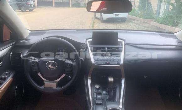 Acheter Occasion Voiture Lexus NX Gris à Douala, Littoral Cameroon Acheter Occasion Voiture Lexus NX Gris à Douala, Littoral Cameroon