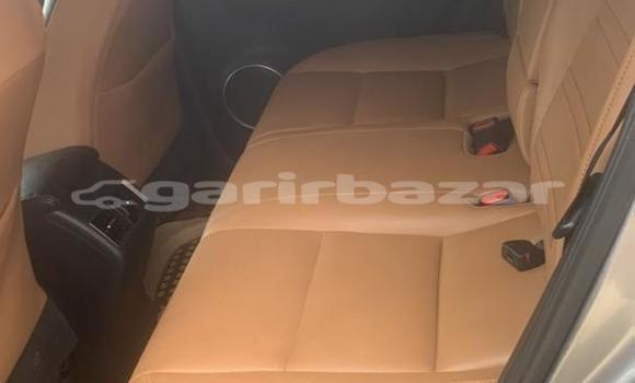 Acheter Occasion Voiture Lexus NX Gris à Douala, Littoral Cameroon Acheter Occasion Voiture Lexus NX Gris à Douala, Littoral Cameroon