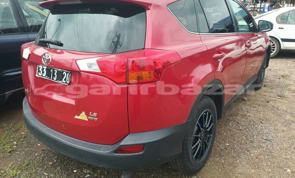 Buy Import Toyota RAV4 Red Car in Douala in Littoral Cameroon Buy Import Toyota RAV4 Red Car in Douala in Littoral Cameroon