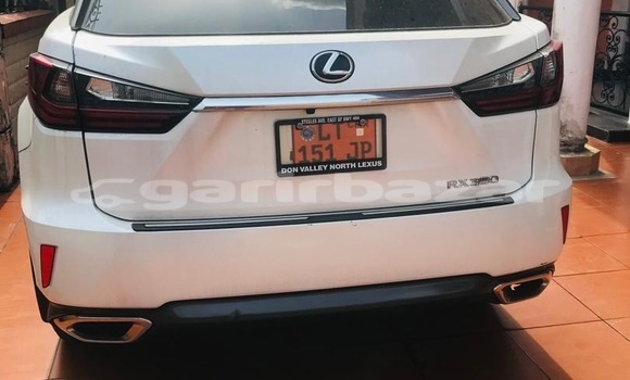 Buy New Lexus RX 350 White Car in Yaounde in Central Cameroon Buy New Lexus RX 350 White Car in Yaounde in Central Cameroon