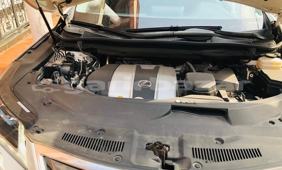 Buy New Lexus RX 350 White Car in Yaounde in Central Cameroon Buy New Lexus RX 350 White Car in Yaounde in Central Cameroon