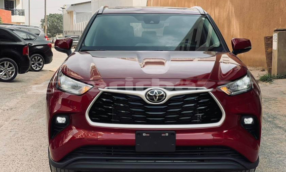 Buy New Toyota Highlander Red Car in Yaounde in Central Cameroon Buy New Toyota Highlander Red Car in Yaounde in Central Cameroon