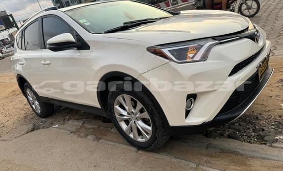 Acheter Occasion Voiture Toyota RAV4 Blanc à Douala, Littoral Cameroon