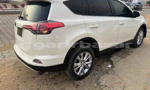 Buy Used Toyota RAV4 White Car in Douala in Littoral Cameroon Buy Used Toyota RAV4 White Car in Douala in Littoral Cameroon