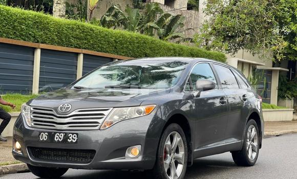 Acheter Occasion Voiture Toyota Venza Gris à Douala, Littoral Cameroon Acheter Occasion Voiture Toyota Venza Gris à Douala, Littoral Cameroon