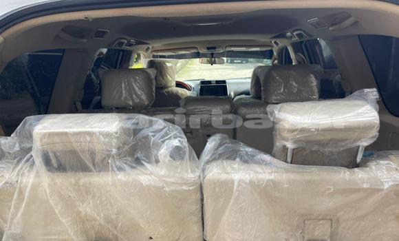 Acheter Occasion Voiture Toyota Prado Blanc à Douala, Littoral Cameroon Acheter Occasion Voiture Toyota Prado Blanc à Douala, Littoral Cameroon