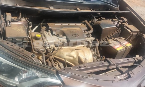 Buy Used Toyota RAV4 Brown Car in Yaounde in Central Cameroon Buy Used Toyota RAV4 Brown Car in Yaounde in Central Cameroon