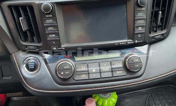 Buy Used Toyota RAV4 Brown Car in Yaounde in Central Cameroon Buy Used Toyota RAV4 Brown Car in Yaounde in Central Cameroon