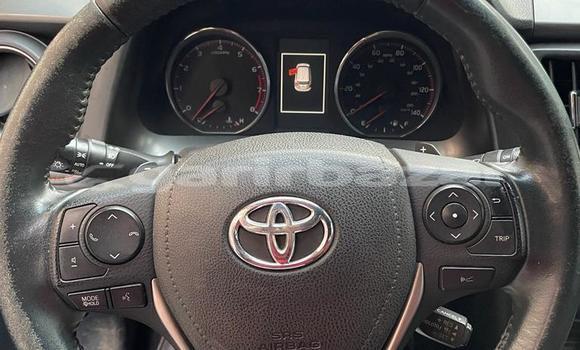 Buy Used Toyota RAV4 Brown Car in Yaounde in Central Cameroon Buy Used Toyota RAV4 Brown Car in Yaounde in Central Cameroon