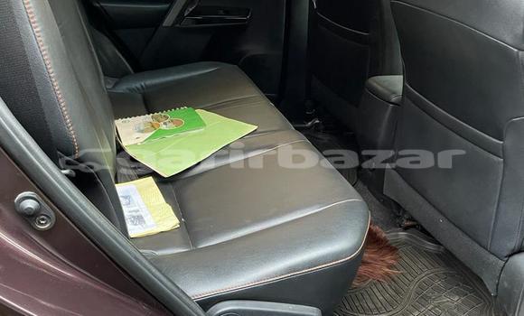 Buy Used Toyota RAV4 Brown Car in Yaounde in Central Cameroon Buy Used Toyota RAV4 Brown Car in Yaounde in Central Cameroon