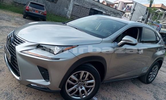 Sayi Imported Lexus NX Azurfa Mota in Douala a Ƙasar Kamaru