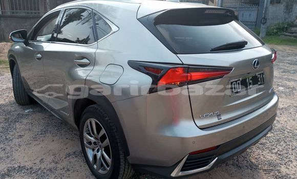 Acheter Import Voiture Lexus NX Gris à Douala, Littoral Cameroon Acheter Import Voiture Lexus NX Gris à Douala, Littoral Cameroon