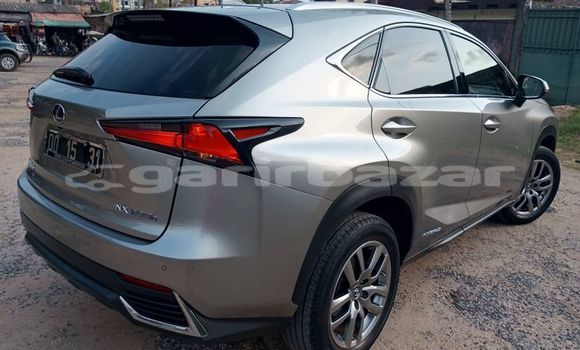 Acheter Import Voiture Lexus NX Gris à Douala, Littoral Cameroon Acheter Import Voiture Lexus NX Gris à Douala, Littoral Cameroon