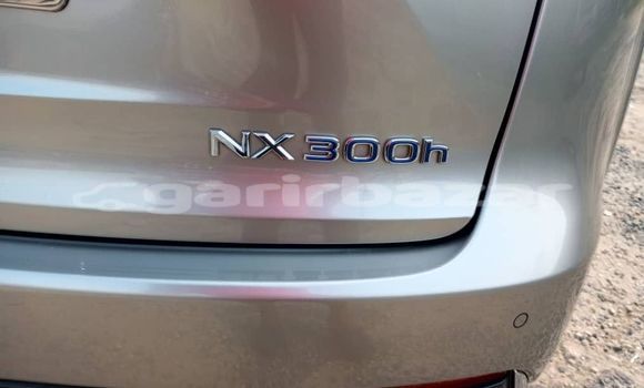 Acheter Import Voiture Lexus NX Gris à Douala, Littoral Cameroon Acheter Import Voiture Lexus NX Gris à Douala, Littoral Cameroon