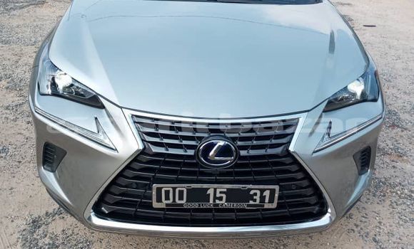 Acheter Import Voiture Lexus NX Gris à Douala, Littoral Cameroon Acheter Import Voiture Lexus NX Gris à Douala, Littoral Cameroon
