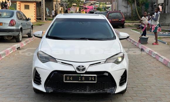 Buy Used Toyota Corolla II White Car in Douala in Littoral Cameroon