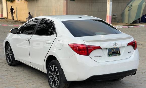 Sayi Na hannu Toyota Corolla II White Mota in Douala a Ƙasar Kamaru Sayi Na hannu Toyota Corolla II White Mota in Douala a Ƙasar Kamaru