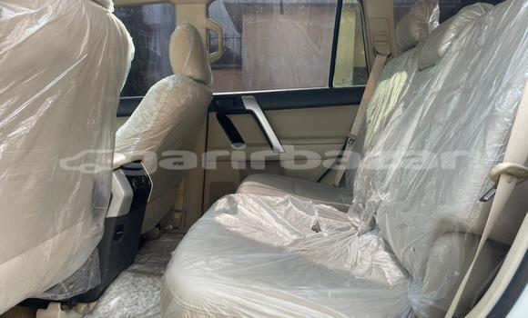 Acheter Occasion Voiture Toyota Land Cruiser Blanc à Douala, Littoral Cameroon Acheter Occasion Voiture Toyota Land Cruiser Blanc à Douala, Littoral Cameroon