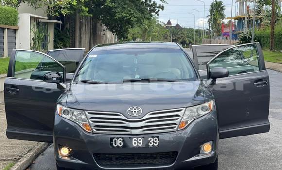 Buy Used Toyota Venza Silver Car in Douala in Littoral Cameroon