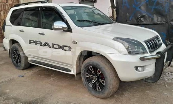 Acheter Neuf Voiture Toyota Land Cruiser Prado Blanc à Douala, Littoral Cameroon Acheter Neuf Voiture Toyota Land Cruiser Prado Blanc à Douala, Littoral Cameroon