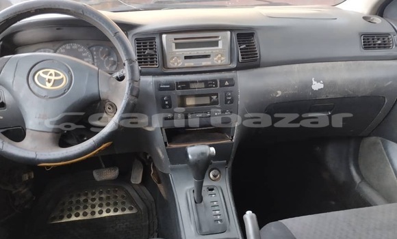 Buy Used Toyota Runx Other Car in Yaounde in Central Cameroon Buy Used Toyota Runx Other Car in Yaounde in Central Cameroon