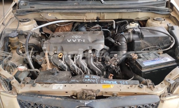 Buy Used Toyota Runx Other Car in Yaounde in Central Cameroon Buy Used Toyota Runx Other Car in Yaounde in Central Cameroon