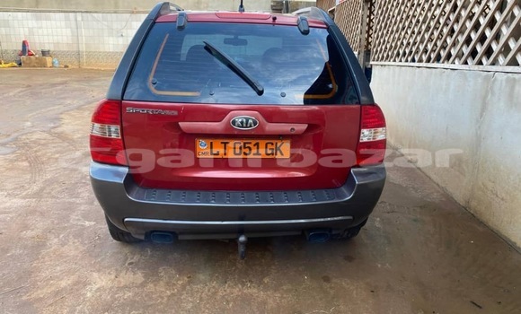 Buy Used Kia Sportage Red Car in Yaounde in Central Cameroon Buy Used Kia Sportage Red Car in Yaounde in Central Cameroon