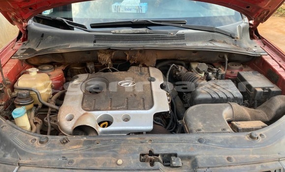 Buy Used Kia Sportage Red Car in Yaounde in Central Cameroon Buy Used Kia Sportage Red Car in Yaounde in Central Cameroon