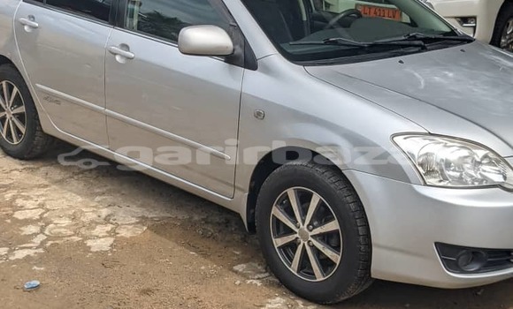 Buy Used Toyota Allex Silver Car in Douala in Littoral Cameroon