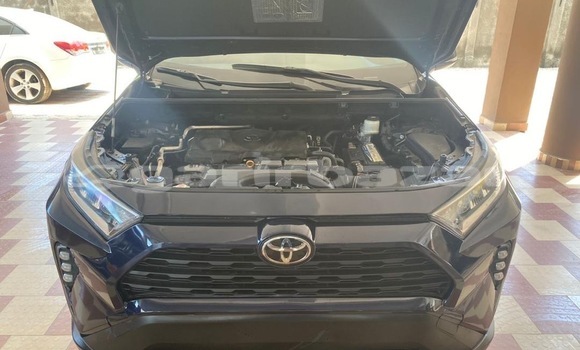 Buy New Toyota RAV4 Other Car in Douala in Littoral Cameroon Buy New Toyota RAV4 Other Car in Douala in Littoral Cameroon