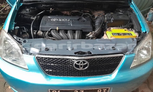 Buy Used Toyota Corolla Blue Car in Yaounde in Central Cameroon Buy Used Toyota Corolla Blue Car in Yaounde in Central Cameroon