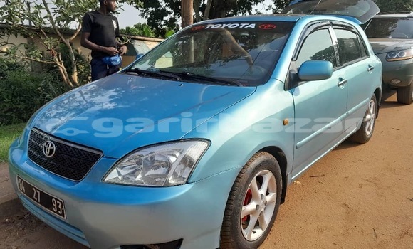 Buy Used Toyota Corolla Blue Car in Yaounde in Central Cameroon Buy Used Toyota Corolla Blue Car in Yaounde in Central Cameroon