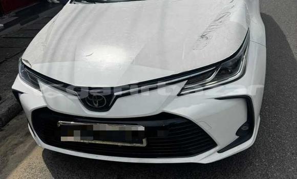 Acheter Import Voiture Toyota Corolla Blanc à Douala, Littoral Cameroon