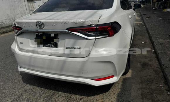 Acheter Import Voiture Toyota Corolla Blanc à Douala, Littoral Cameroon Acheter Import Voiture Toyota Corolla Blanc à Douala, Littoral Cameroon