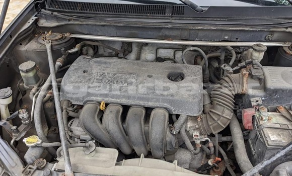 Buy New Toyota Matrix Black Car in Douala in Littoral Cameroon Buy New Toyota Matrix Black Car in Douala in Littoral Cameroon