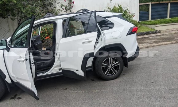 Acheter Neuf Voiture Toyota RAV4 Blanc à Douala, Littoral Cameroon Acheter Neuf Voiture Toyota RAV4 Blanc à Douala, Littoral Cameroon