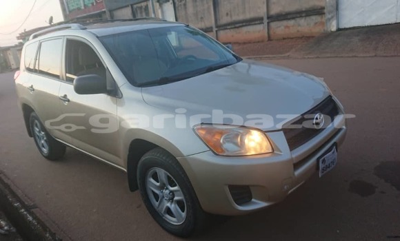 Buy Used Toyota RAV4 Silver Car in Yaounde in Central Cameroon Buy Used Toyota RAV4 Silver Car in Yaounde in Central Cameroon