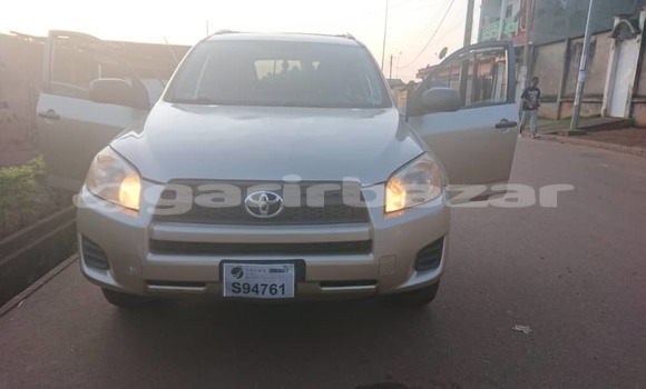 Buy Used Toyota RAV4 Silver Car in Yaounde in Central Cameroon Buy Used Toyota RAV4 Silver Car in Yaounde in Central Cameroon