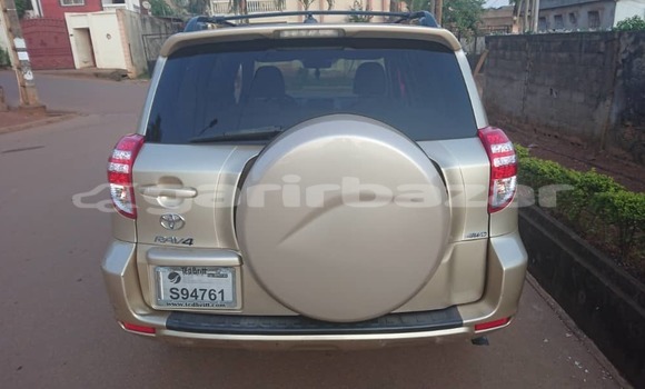 Buy Used Toyota RAV4 Silver Car in Yaounde in Central Cameroon Buy Used Toyota RAV4 Silver Car in Yaounde in Central Cameroon