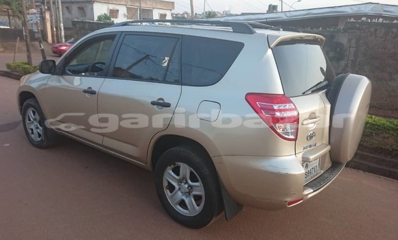 Buy Used Toyota RAV4 Silver Car in Yaounde in Central Cameroon Buy Used Toyota RAV4 Silver Car in Yaounde in Central Cameroon