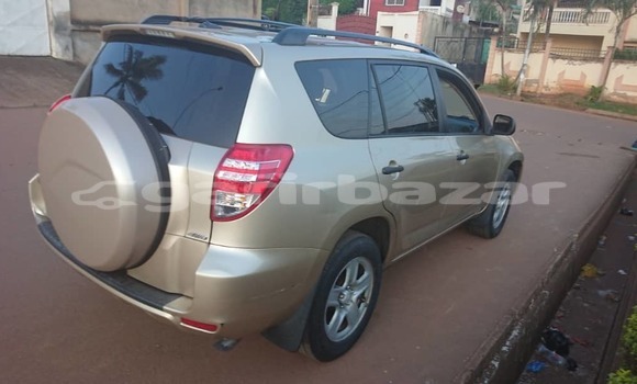 Buy Used Toyota RAV4 Silver Car in Yaounde in Central Cameroon Buy Used Toyota RAV4 Silver Car in Yaounde in Central Cameroon