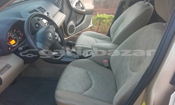 Buy Used Toyota RAV4 Silver Car in Yaounde in Central Cameroon Buy Used Toyota RAV4 Silver Car in Yaounde in Central Cameroon