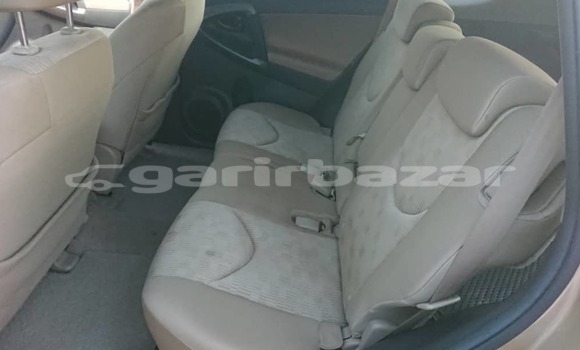 Buy Used Toyota RAV4 Silver Car in Yaounde in Central Cameroon Buy Used Toyota RAV4 Silver Car in Yaounde in Central Cameroon